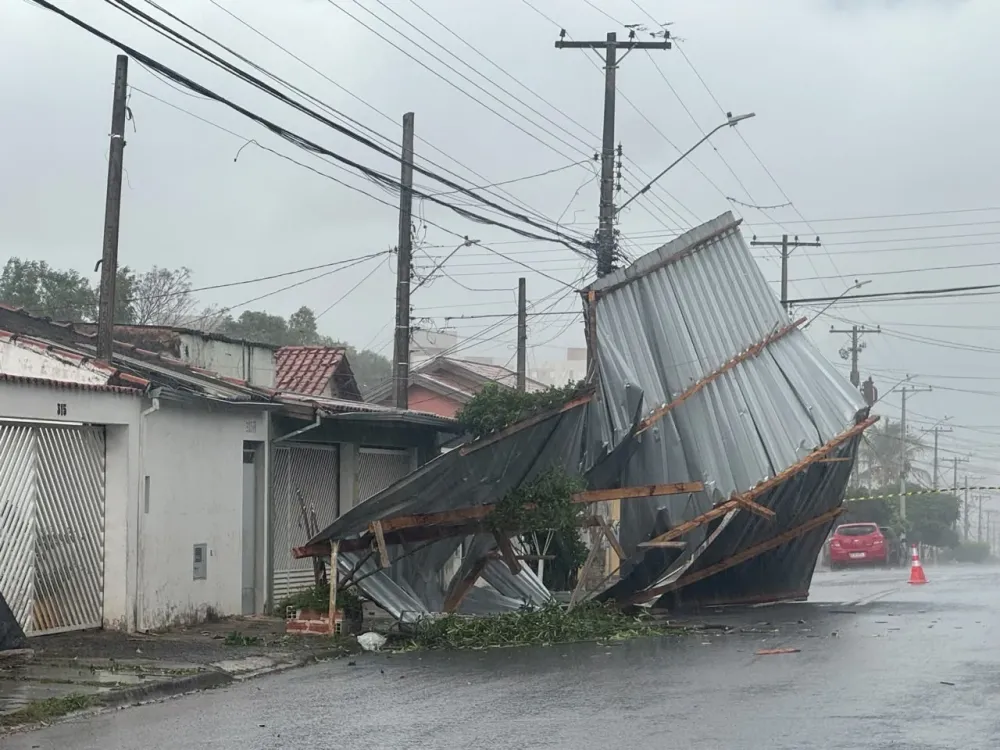 Chuva provoca quedas de árvores e destelhamento na região de Campinas
