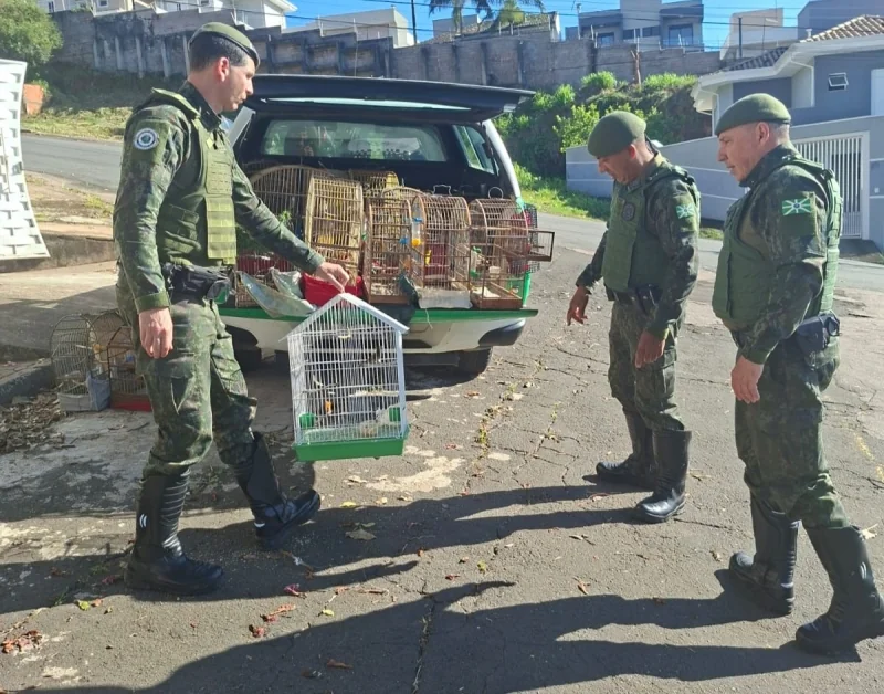 GCM de Valinhos registra ocorrências de proteção ambiental e combate ao tráfico de drogas