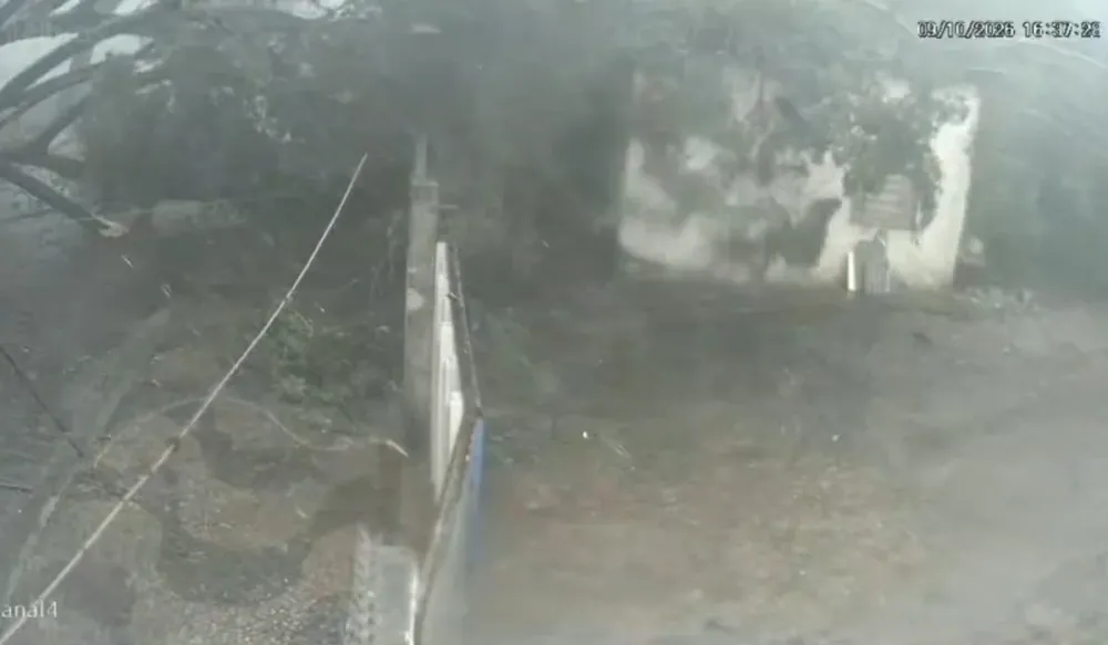Árvore cai e danifica oficina no Bonfim por causa de temporal em Campinas