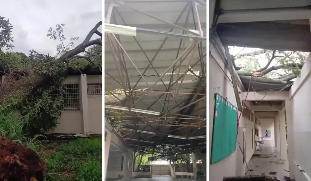 Escola em Campinas suspende aulas após queda de árvore sobre o prédio