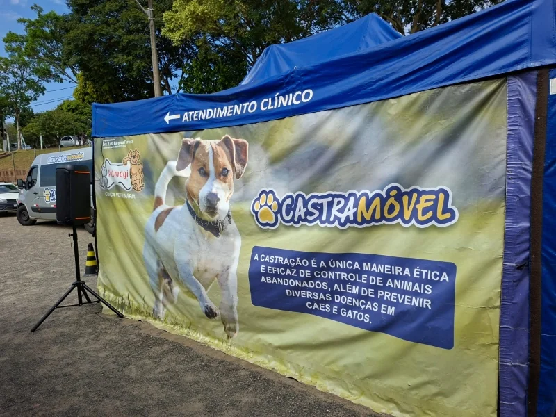 Valinhos oferece mutirão de castração gratuita para cães e gatos no dia 24